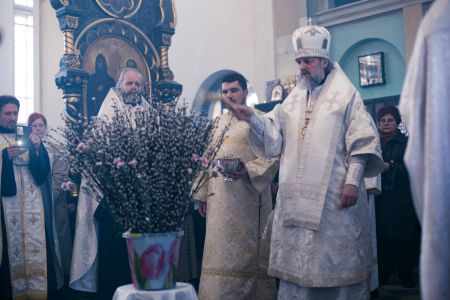 2016-04-23-00056.jpg