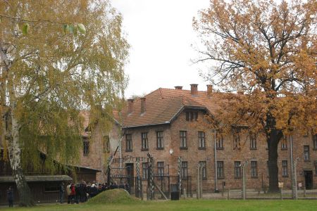 img-2049.JPG