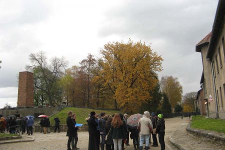img-2118.JPG