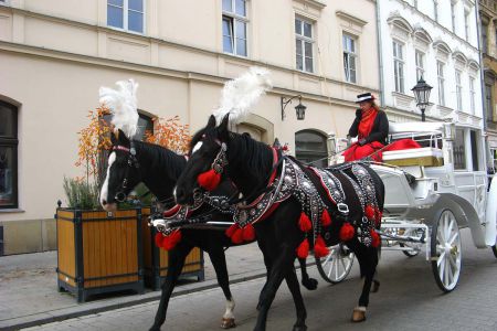 img-2294.JPG