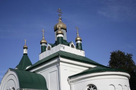 78.jpg