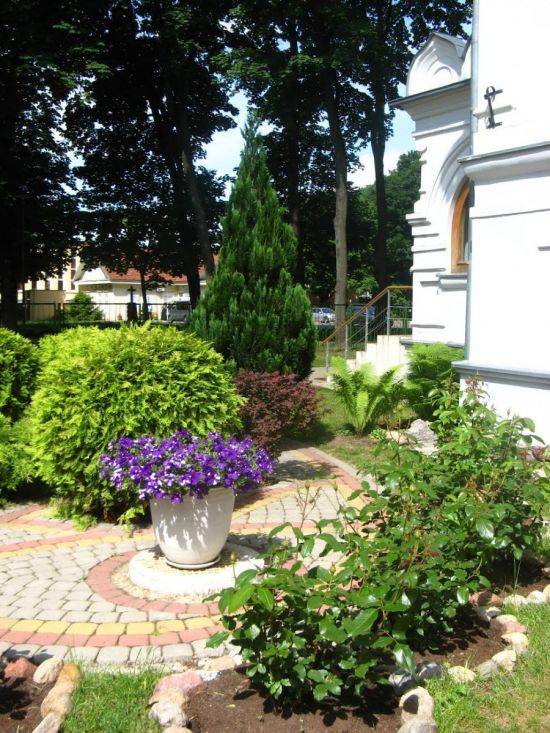 91.jpg